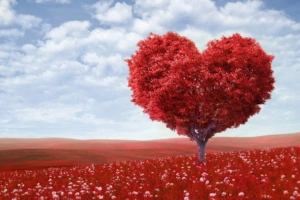 Red Love Heart Tree764739230 300x200 - Red Love Heart Tree - tree, Tomorrow, Love, Heart